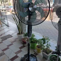 پنکه