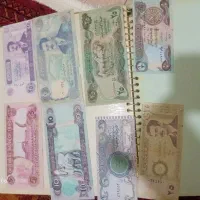 تعداد ۱۰۰۰ عدد تمر قدیمی