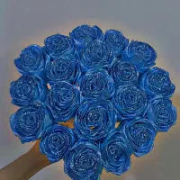 رز ربانی گل|گل مصنوعی|قم, خاکفرج|دیوار