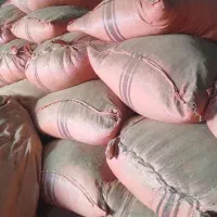 فروش گاه گندم خرمن کوب گونی گرفته۳۳۰من