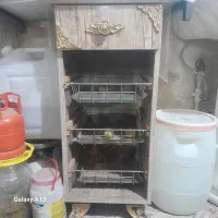 جا سیب زمینی و پیازی