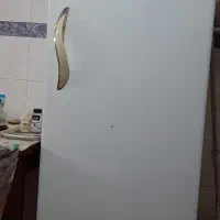 یخچال ارج ۱۰ فوت
