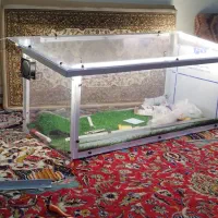 باکس پت خونگی گربه . پرنده و..بیروپنجره|لوازم جانبی حیوانات|تهران, جردن|دیوار