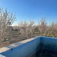 زمین باغ ۵۰۰متری سند دار سهیلیه زغفرانیه کردان|فروش زمین و ملک کلنگی|کرج, حصارک بالا|دیوار