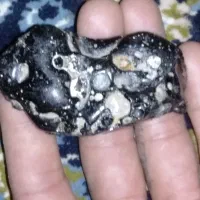 سنگ راف سیاه مشابه با شهاب سنگ
