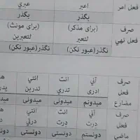 آموزش زبان عربی لهجه عراقی/انگلیسی برای کودکان|خدمات آموزشی|نیشابور, قلعه نو|دیوار