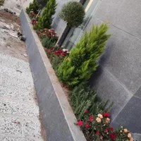 انجام خدمات باغبانی باغچه ،هرس ،کاشت|خدمات باغبانی و درختکاری|قم, شهرک قدس|دیوار