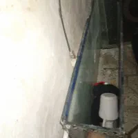 آکواریوم بالوازماش|ماهی|پاکدشت, پاکدشت (مامازند)|دیوار