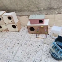 تاب، غذاخور و لانه پرنده