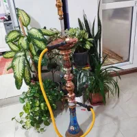 قلیان عربی