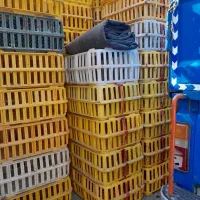 سبد قفس جعبه حمل مرغ زند