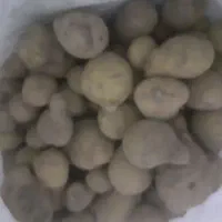 سیب زمینی جیلی|عمدهفروشی|قیدار, |دیوار