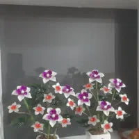 انواع گل کریستال پیوی مدیر golkristal098