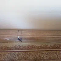 فرش۱۲متری ۸میلیون|فرش|هشتگرد, فاز ۷ مهستان|دیوار