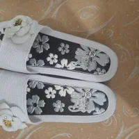 یک جفت دمپایی زیبا وشیک ومجلس