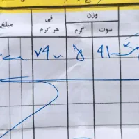 طلا النگو نیم تک|جواهرات|مسجد سلیمان, |دیوار