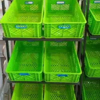 استند میوه و سبزی