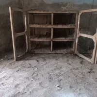 قفس کفتر|لوازم جانبی حیوانات|قم, نخودی|دیوار