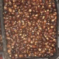 خرما .رطب|خوردنی و آشامیدنی|اهواز, شهرک رزمندگان|دیوار