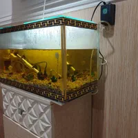 اکواریوم