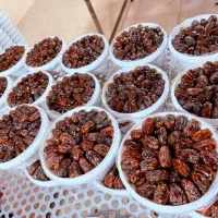 فروش خرما درجه یک کبکاب|عمدهفروشی|آبپخش, |دیوار