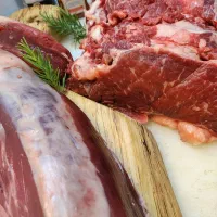 نیرو با بیمه، جای خواب..‌
