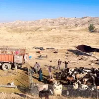 حقوق ثابت در منزل با تهیه فیلم مستند زندگی عشایری|استخدام هنری و رسانه|مسجد سلیمان, |دیوار
