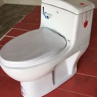 فرنگی خروجی بزرگ کاتیا
