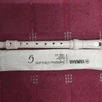 فلوت ریکوردر