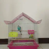 قفس پرنده درحد نو بزرگ و کوچک|لوازم جانبی حیوانات|پردیس, فاز ۱۱|دیوار