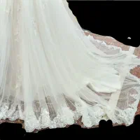 لباس عروس شیک درحدنو.سایز۴۲تا۴۴.دنباله دار.توری|لباس|تبریز, |دیوار
