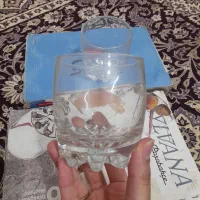 لیوان پا باغچه دودست