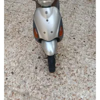 شادگان