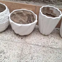 گلدان|گل و گیاه طبیعی|نیشابور, دارایی|دیوار