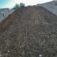 کود حیوانی