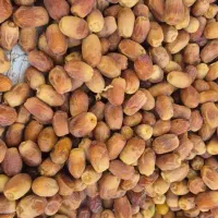 فروش خرمای زاهدی(قصب)|خوردنی و آشامیدنی|اسیر, |دیوار