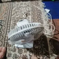لوازم خانگی|پنکه و تصفیه‌کنندهٔ هوا|شیراز, شهدای شهرک سعدی|دیوار