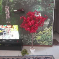 درختچه مصنوعی وتعدادی شاخه گل قرمز|گل مصنوعی|تهران, هاشمآباد|دیوار