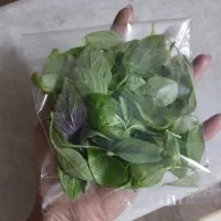 سالادفصل،سالادشیرازی،ترشی خونگی،ریحون،خیارشور ویژه|خدمات پذیرایی، مراسم|میبد, |دیوار