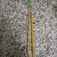 اشیا عطیقه وکهنه اصل|کلکسیون اشیاء عتیقه|سراب, |دیوار