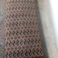 پشتی یک جفت سالم