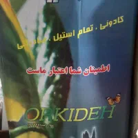 سبزی خردکن
