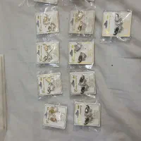 گوشواره صدفی