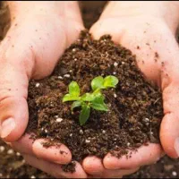 خاک حاوی هیدروپیت( مخصوص)