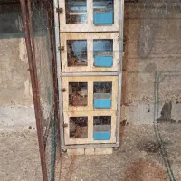 فروش جفت دونی چهار طبق