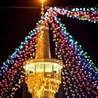 ریسه بلوطی ۷ رنگ  / رژه لامپ خیابانی جشن و اعیاد