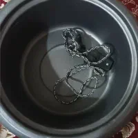 پلوپز برقی|اجاق گاز و لوازم برقی پخت‌وپز|تهران, شیوا|دیوار