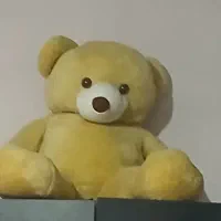خرس بزرگ