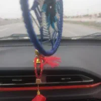 از بوشهر  الان راه افتادم برم شیراز