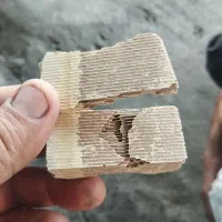 گلویی و اگزوزو و کاتاباکس|قطعات یدکی و لوازم جانبی|زاهدان, |دیوار